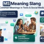 MS Meaning Slang