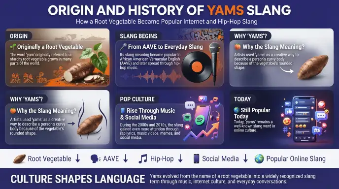 Origin and History of Yams Slang
