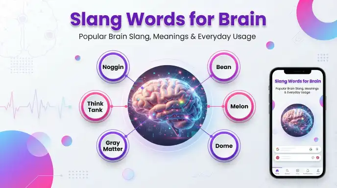 Slang Words for Brain