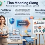 Tina Slang Meaning