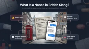 What Is a Nonce in British Slang?