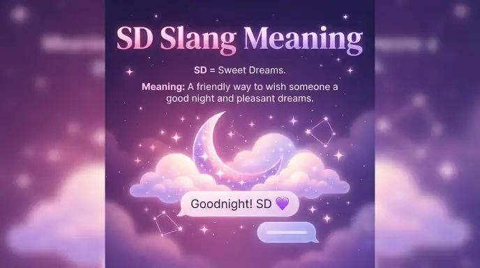 SD Slang Meaning