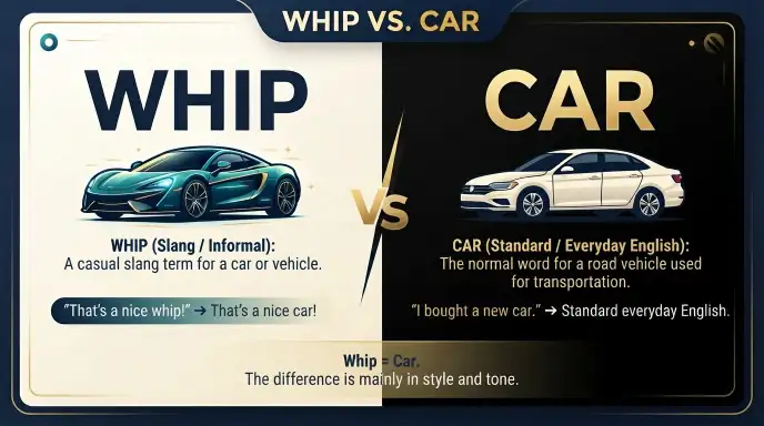 Whip Vs. Car