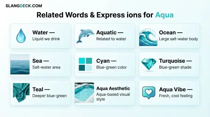 Related Words and Expressions for Aqua