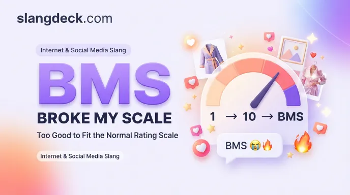 BMS mean in text