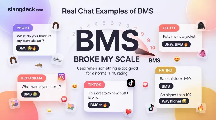 Real Chat Examples of BMS