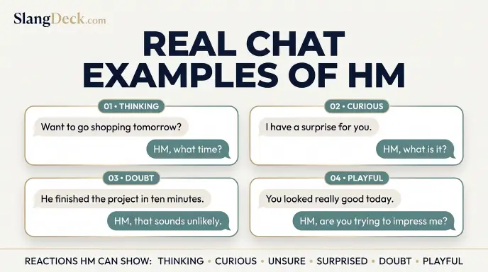 Real Chat Examples of HM