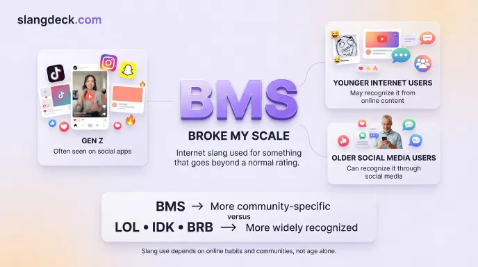 Who Uses BMS?